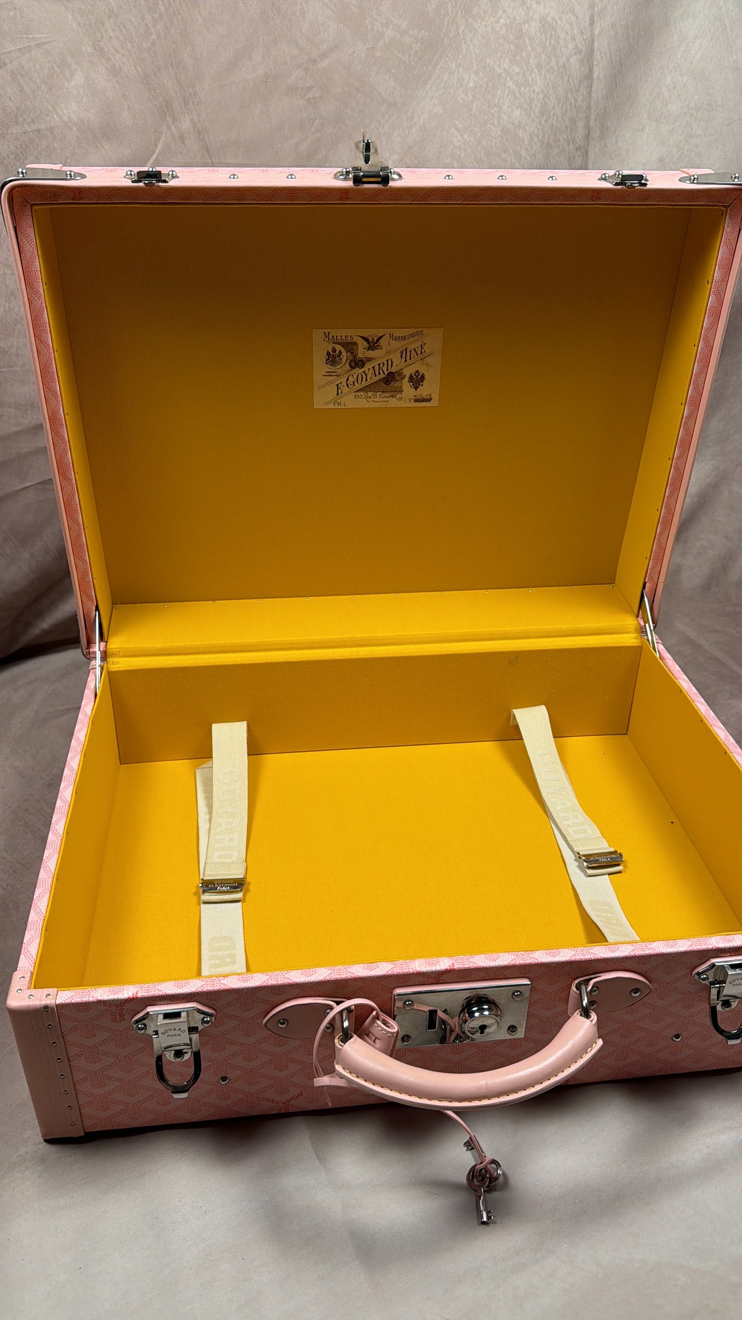 Goyard Special Order VIC Grand Hotel 50 Trunk Bag Sakura Pink (2008)
